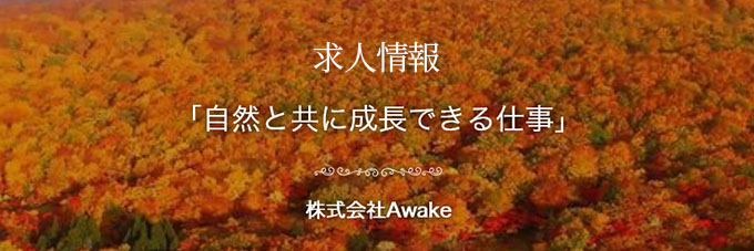 【株式会社Awake】の採用サイト